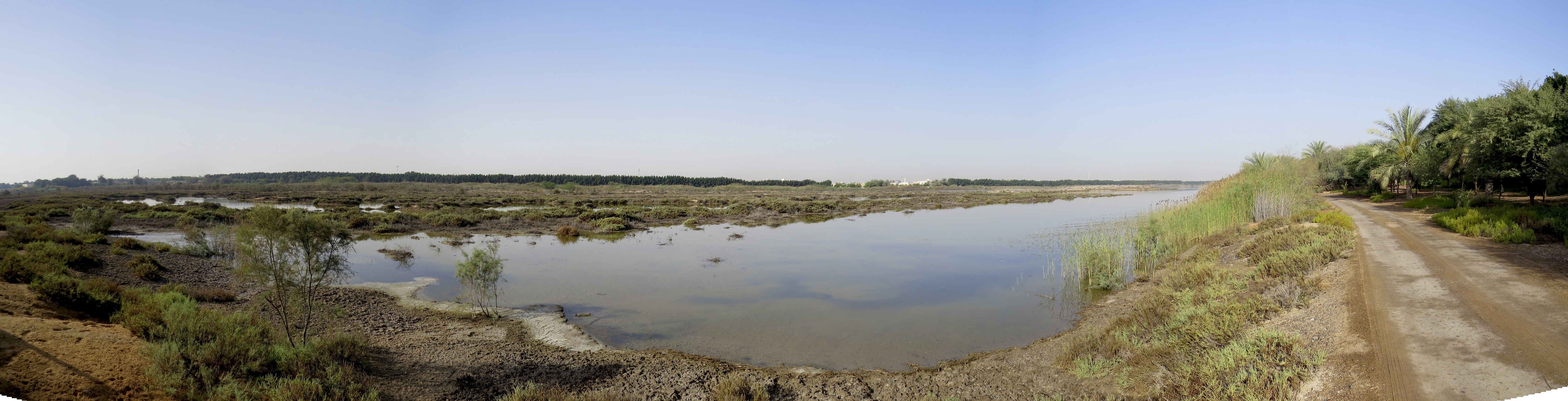 Wasit Sabkha Panorama